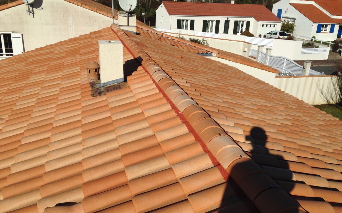 Nettoyage demoussage toiture rom 79120 après