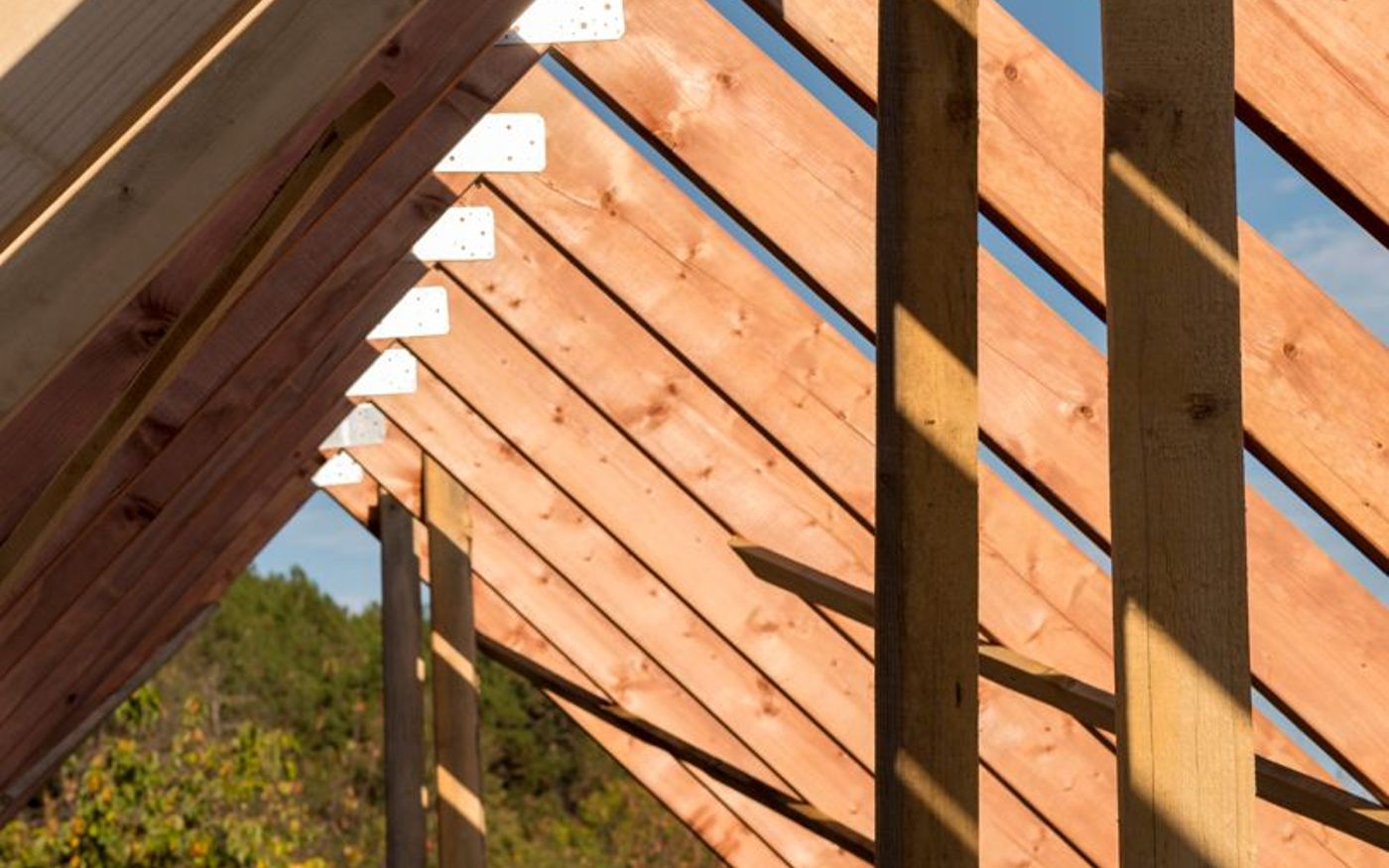 Renovation charpente à Hanc