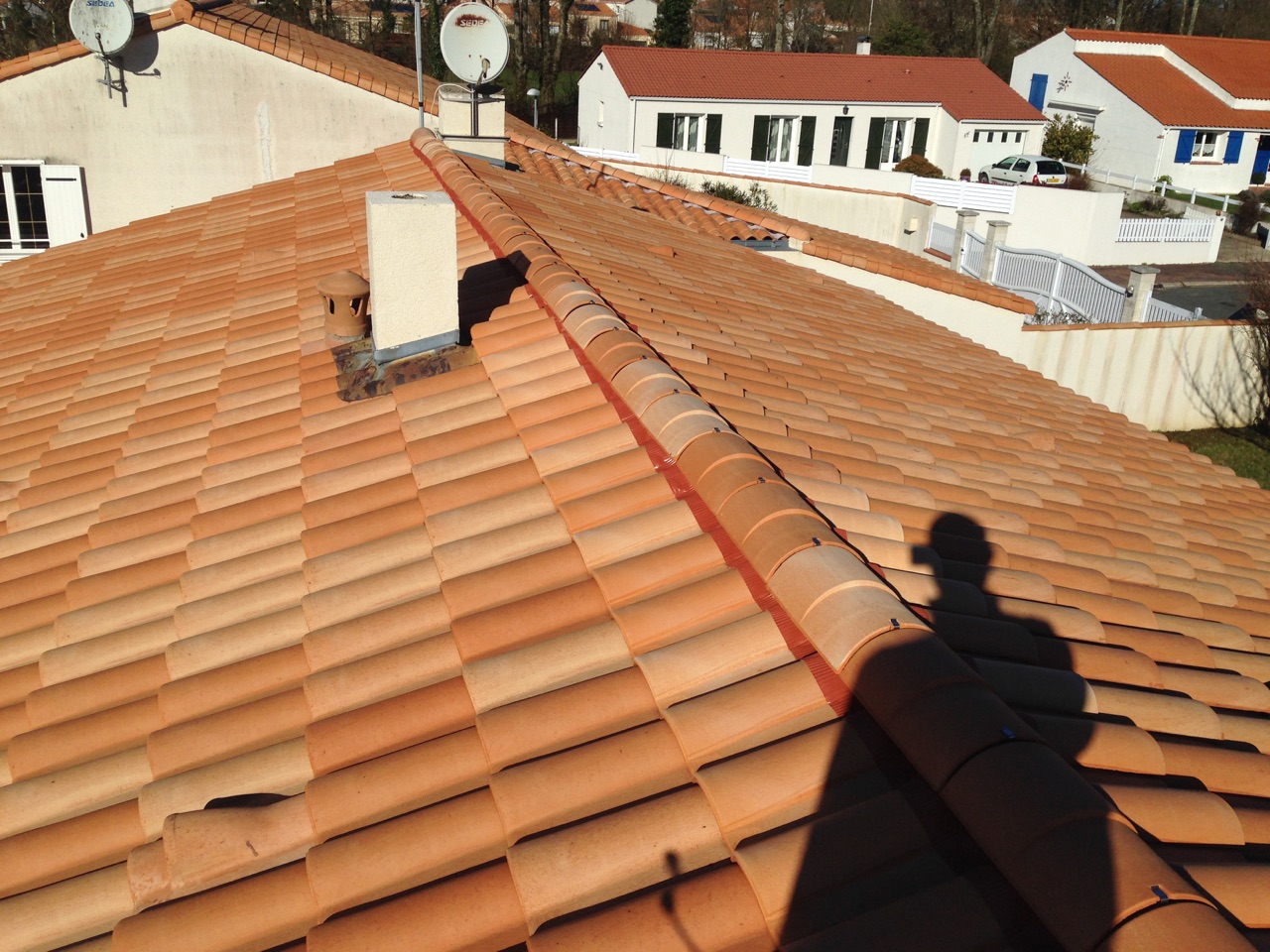 Demoussage toiture romagne 86700 après