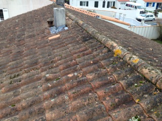 Demoussage toiture romagne 86700 avant