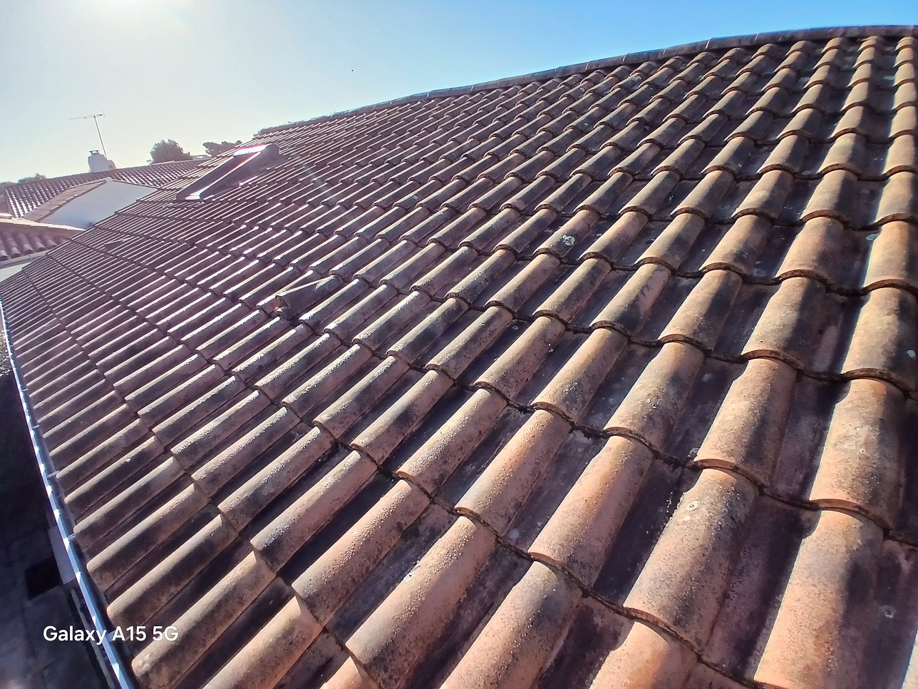 Nettoyage toiture rom 79120 avant